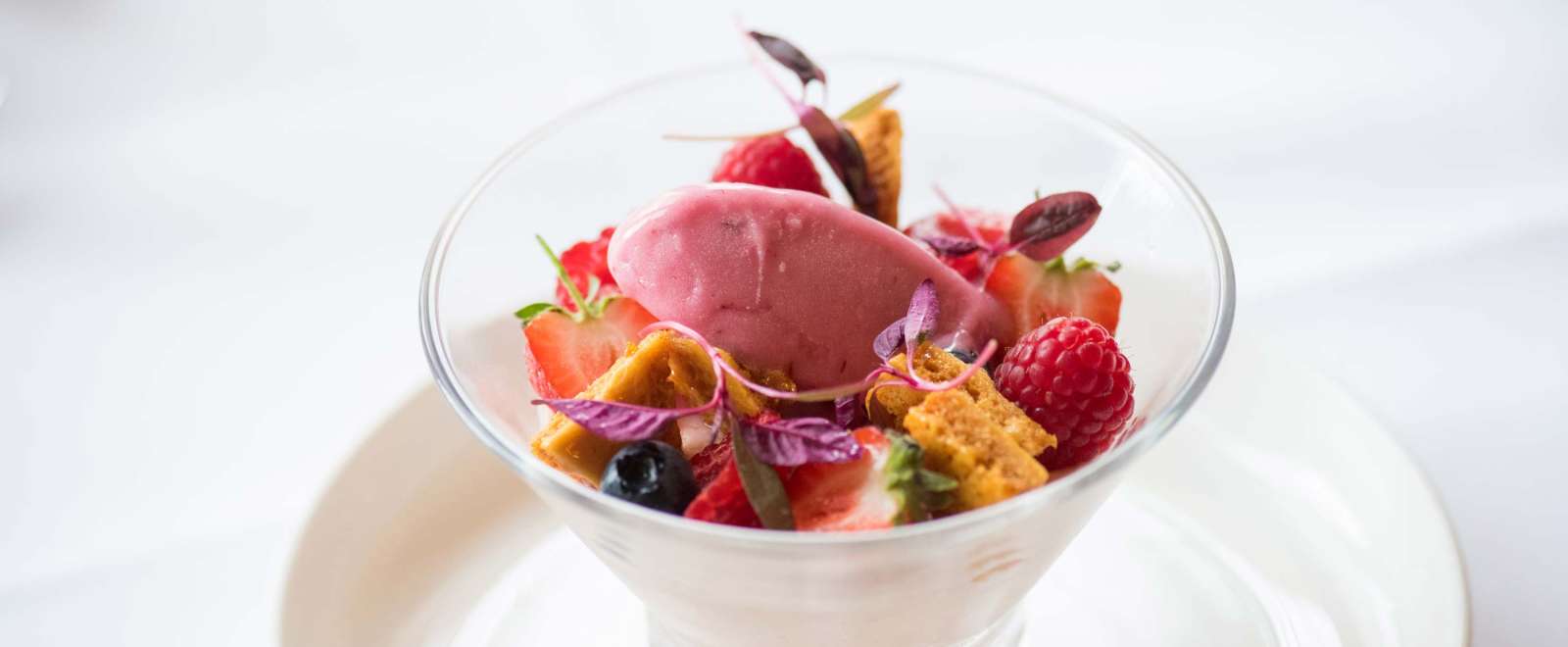 Imperial Hotel Restaurant Dining Vanilla Panna Cotta with Berries Sorbet and Honeycomb | Dessert