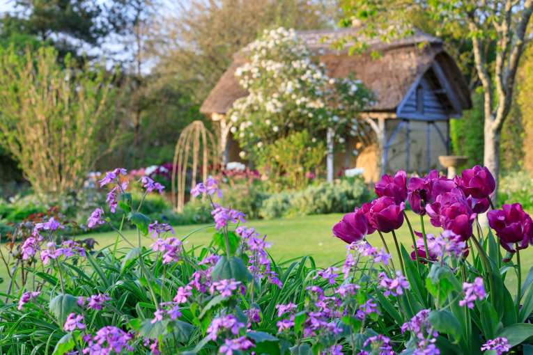Rhs Rosemoor Garden Cottage in Spring