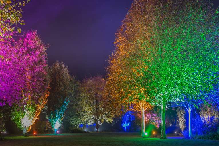 Winter Illuminations at Rosemoor