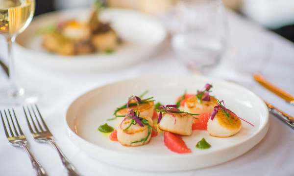 Imperial Hotel Restaurant Dining King Scallops and Pink Grapefruit