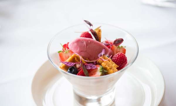 Imperial Hotel Restaurant Dining Vanilla Panna Cotta with Berries Sorbet and Honeycomb | Dessert