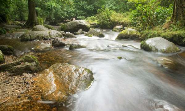 Becky Falls Dartmouth