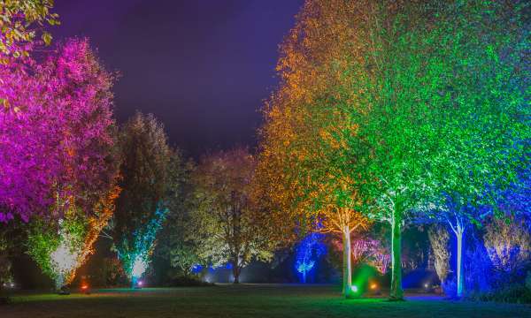 Winter Illuminations at Rosemoor