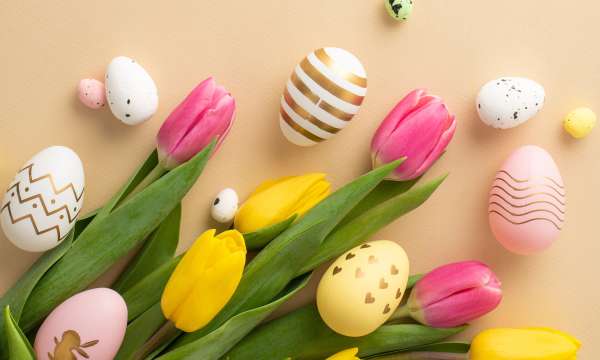 Easter egg on yellow