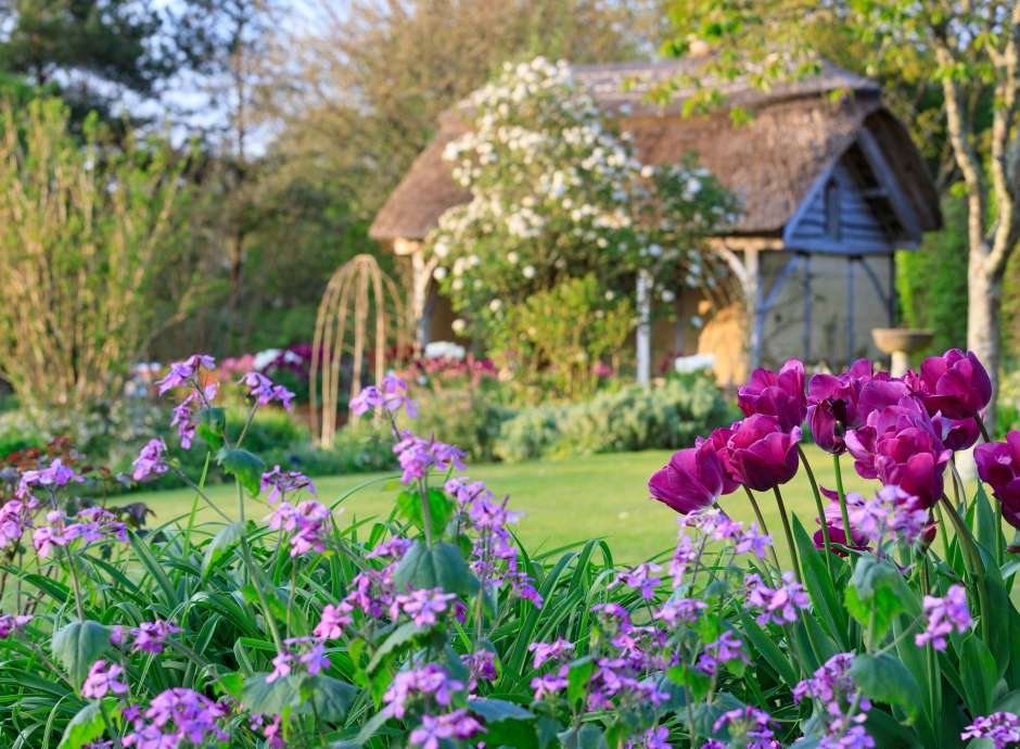 Rhs Rosemoor Garden Cottage in Spring
