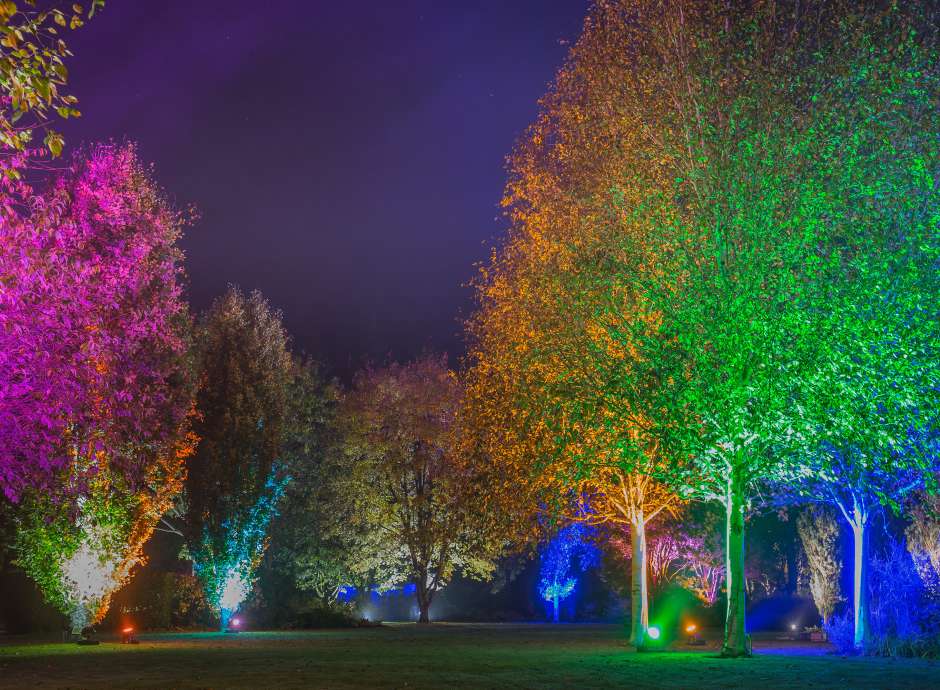 Winter Illuminations at Rosemoor