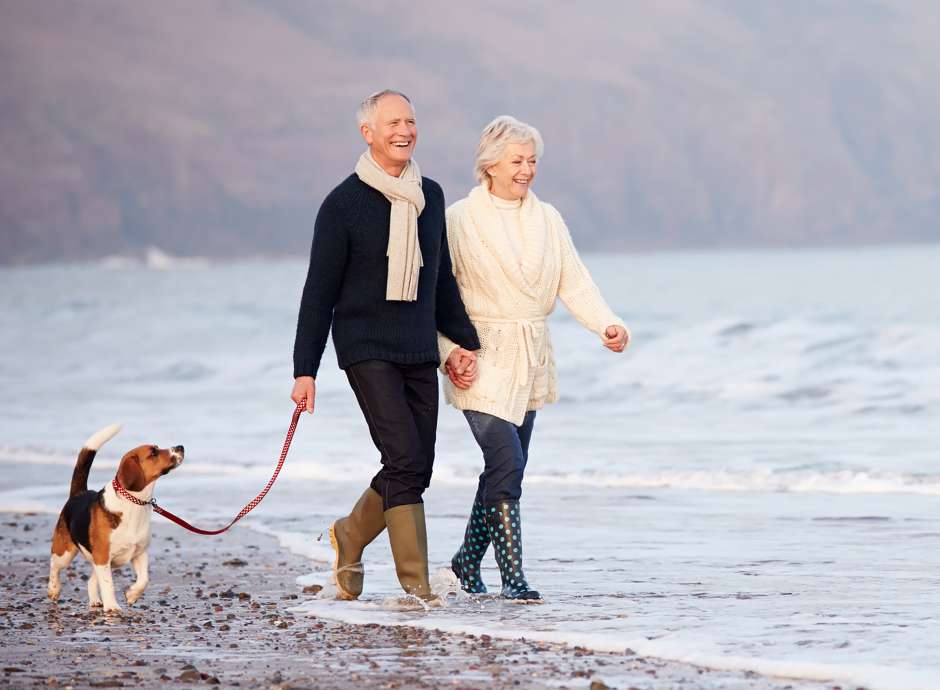 Elderly Couple Walking Dog on Beach